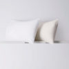 "Belledorm" 200tc Egyptian Cotton : Ultra Deep Fitted Sheet (46cm. / 18") - Image 2